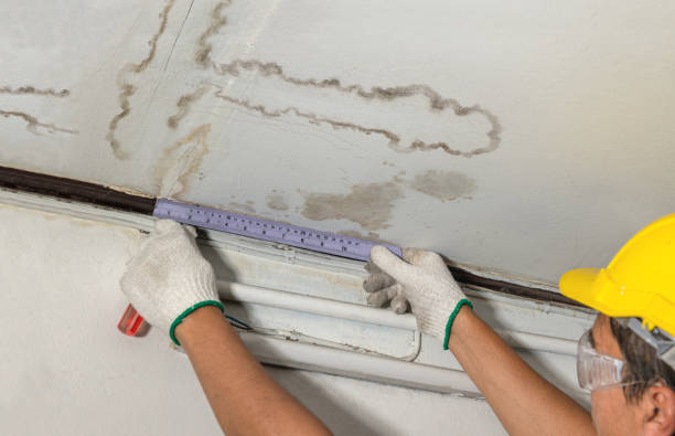 Reliable Basement Flood Cleanup contractor in Francitas, TX by Aqua Guard Water Damage